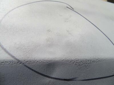 1966 67 Dodge Plymouth Door Shell B-Body Dr# 220 Passenger Right MOPAR Used