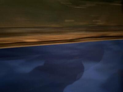 1969-70 Dodge Charger Passenger Door Dr. #51 Mopar