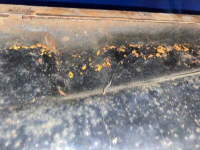 1970 Plymouth Road Runner B-Body Hood for Hood Pins with 440 Emblem & H#10 Mopar