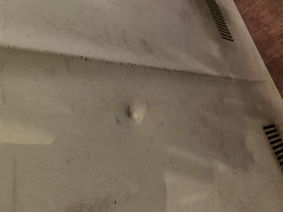 1970-74 Plymouth Barracuda E-Body Hood with Plymouth Emblem H#14 Mopar- Used