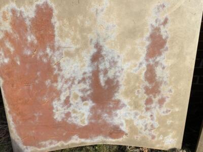 Used 65 Dodge Coronet Hood Mopar H# 101 B-Body