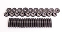 Valve Cover Fasteners (40pcs) - HEMI - 66-70 Dodge Plymouth