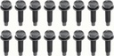 Lower Door Hinge Bolt Set (16pcs) - 68-81 Camaro Firebird; 68-74 Chevy II Nova; 68-72 Chevelle El Camino