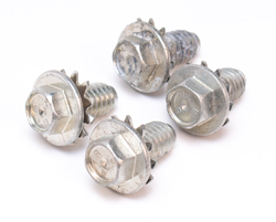 Park Lamp Housing Bolts (4pcs)