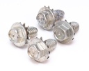Park Lamp Housing Bolts (4pcs)