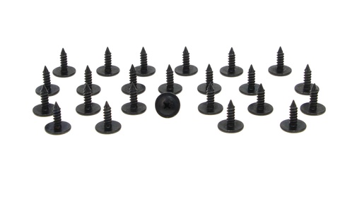 [R-220] Roof Rail Weatherstrip Channel Screw Set (24pcs) - 67-69 Camaro Firebird
